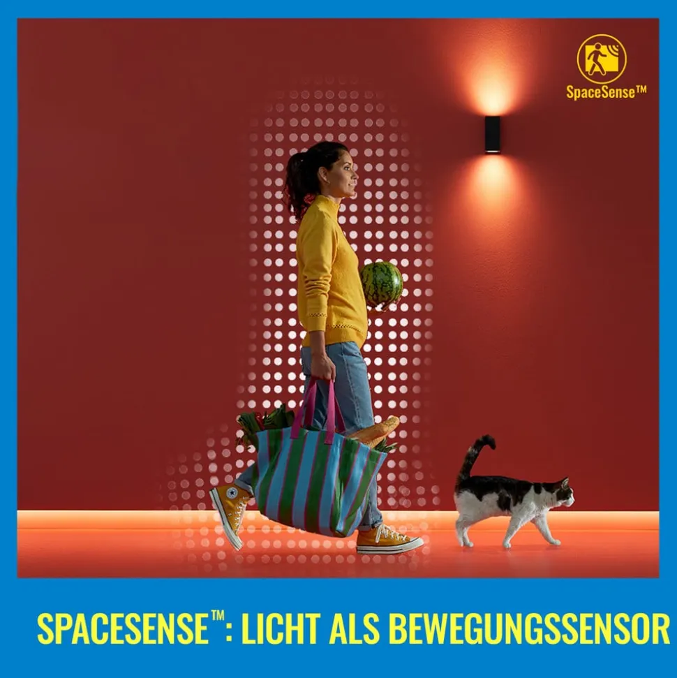 WiZ G95 LED-filamentpære globe WiFi E27 6,3 W RGBW