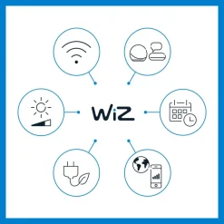 WiZ G95 LED-filamentpære globe WiFi E27 6,3 W RGBW